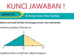 Apakah Dua Segitiga yang Mempunyai Tiga Pasang Sudut-sudut Matematika Kelas 9
