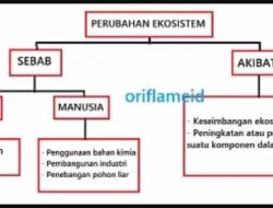 Berdasarkan Bacaan Perubahan Ekosistem di Atas Perhatikanlah Setiap Pokok Pikiran di Setiap Paragraf