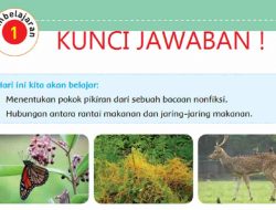 Berdasarkan Bacaan Rantai Makanan dan Jaring-Jaring Makanan di Atas Cari Beberapa Kosakata Baru