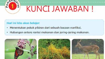 Berdasarkan Bacaan Rantai Makanan dan Jaring-Jaring Makanan di Atas Cari Beberapa Kosakata Baru