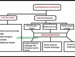 Berdasarkan Bacaan Pengaruh Kegiatan Manusia Terhadap Keseimbangan Ekosistem di Atas