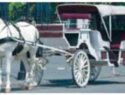 Biaya Untuk Merawat Serta Perbaikan Kuda dan Kereta Dinyatakan dalam Persamaan C