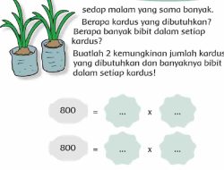 Jawab: Buatlah 2 Kemungkinan Jumlah Kardus yang Dibutuhkan dan Banyaknya Bibit dalam Setiap Kardus