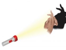 Gunakan Lampu Senter dan Tanganmu Untuk Membuat Bayangan Kelinci Pada Dinding