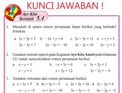 Jelaskan dan Perbaiki Kesalahan dalam Penyelesaian Sistem Persamaan Linear Berikut