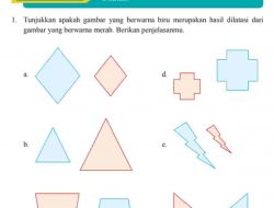 Segitiga KLM Berkoordinat di K (12, 4) L (4, 8) dan M (8, –8) Setelah Dua Kali Dilatasi Berturut-turut