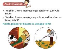 Tuliskan 2 Cara Menjaga Agar Tanaman Tumbuh Subur Jawaban Tema 4 Kelas 2 Halaman 199