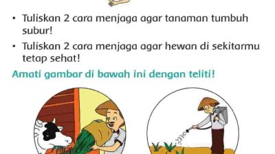 Tuliskan 2 Cara Menjaga Agar Tanaman Tumbuh Subur Jawaban Tema 4 Kelas 2 Halaman 199