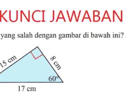Jawaban Apa yang Salah dengan Gambar di Bawah Ini Jelaskan