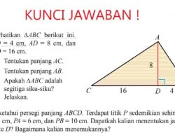 Persegi Panjang ABCD Terdapat Titik P Sedemikian Sehingga PC = 8 cm PA = 6 cm dan PB = 10 cm