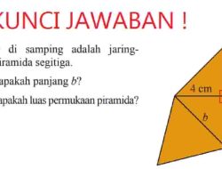 Jawaban Gambar di Samping Adalah Jaring-jaring Piramida Segitiga Berapakah