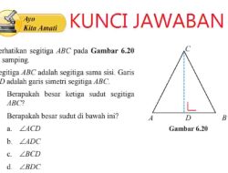 Kunci Jawaban Matematika Kelas 8 Halaman 36 Segitiga ABC Adalah Segitiga Sama Sisi Garis CD Adalah Garis Simetri
