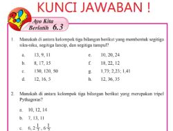 Tiga Bilangan Berikut yang Membentuk Segitiga Siku-siku Lancip dan Tumpul