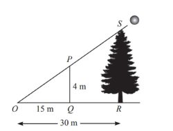 Tinggi Tongkat PQ Sesungguhnya Adalah 4 m dan Panjang Bayangannya 15 m