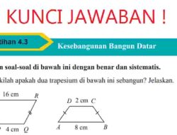 Jawaban Panjang Sisi Terpendek Dari Dua Buah Segi Enam (Hexagon) Sebangun Adalah 10 cm dan 8 cm