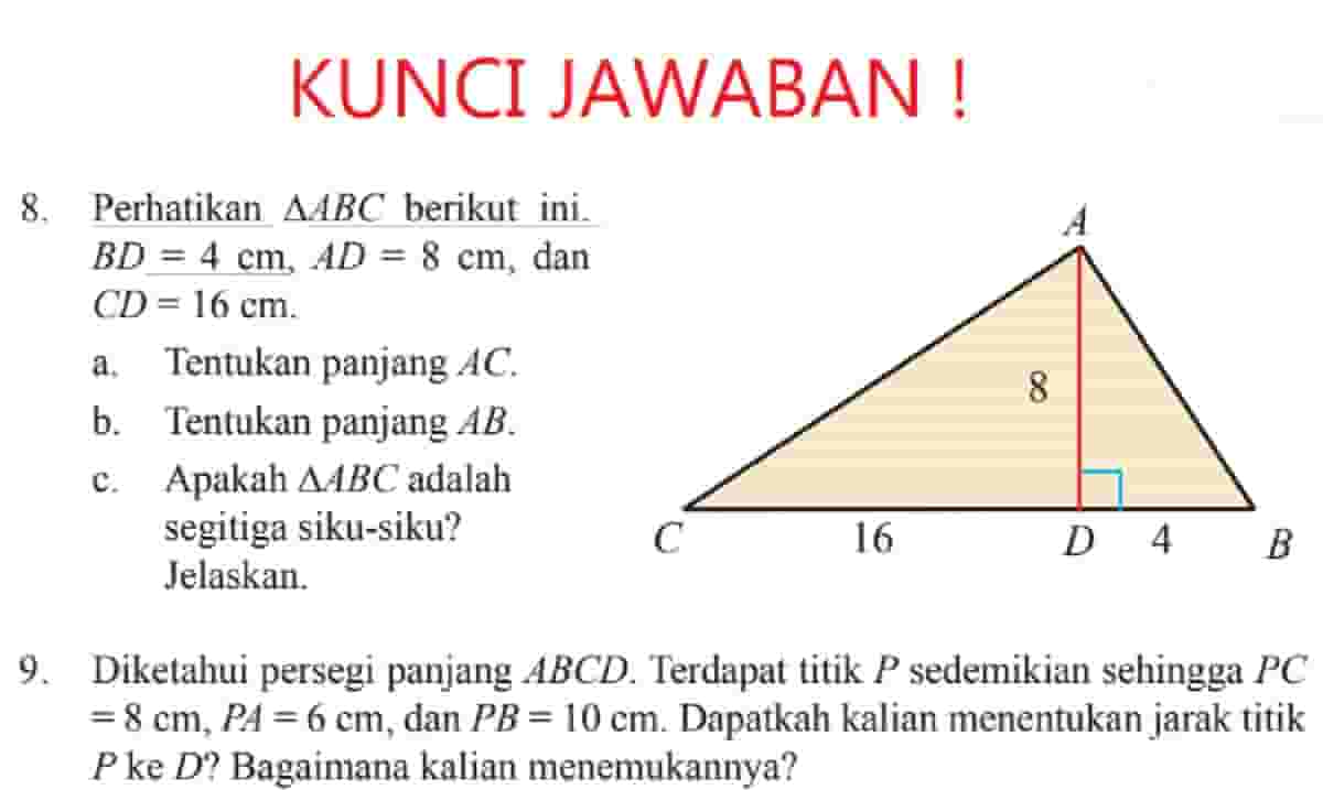 Jawaban Perhatikan ∆ABC Berikut Ini BD = 4 cm AD = 8 cm dan CD = 16 cm ...