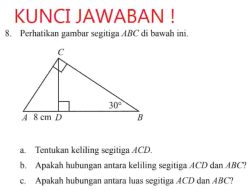 Tentukan Keliling Segitiga ACD Apakah Hubungan Antara Keliling