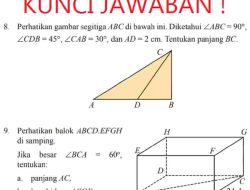 Balok ABCD EFGH di Samping Jika Besar ∠BCA = 60° Tentukan