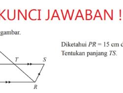 Diketahui PR = 15 cm dan QU = 2/3 UP Tentukan Panjang TS
