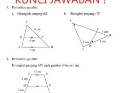 Hitunglah Panjang EB CE MN Pada Gambar di Bawah Ini