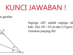 Segitiga ABC Adalah Segitiga Siku-siku Sama Kaki Jika AB = 10 cm