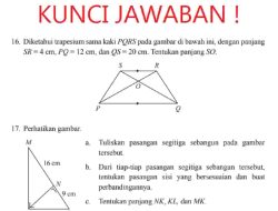 Tuliskan Pasangan Segitiga Sebangun Pada Gambar Tersebut M K L 9 cm N 16 cm