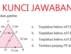 Tunjukkan Bahwa ∆FCE ∼ ∆ACB Jawaban Matematika Halaman 255