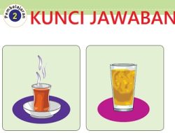Contoh Peristiwa Menjelaskan Perbedaan Antara Suhu dan Panas Tema 6 Kelas 5