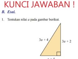 Apakah ∆ABC dengan Koordinat A(−2, 2) B(−1, 6) dan C(3, 5) Adalah