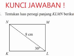 Luas Persegi Panjang KLMN Berikut 16 cm 30 Derajat