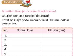 Amatilah Lima Jenis Daun Di Sekitarmu Ukurlah Panjang Tangkai Daunnya Jawaban Tema 5 Kelas 2 Halaman 93