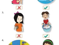 Beri Tanda Centang (√) Pada Gambar Kegiatan yang Waktunya Lebih Lama Jawaban Halaman 9 Kelas 3 SD