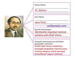 Dampak Perjuangannya Dr Sutomo Terhadap Pergerakan Nasional