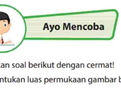 Diameter Sebuah Bola 24 cm Bola Tersebut Terbuat Dari Kulit Sintetis