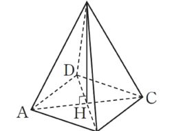 Kunci Jawaban Matematika Kelas 7 Halaman 205 Mari Kita Periksa Kurikulum Merdeka Semester 2