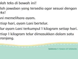 Lani Memelihara Ayam Setiap Hari Ayam Lani Bertelur Kunci Jawaban Tema 6 Kelas 2 Halaman 21 22