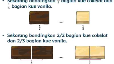 Sekarang Bandingkan 1 per 2 Bagian Kue Cokelat dan 1 per 3 Bagian Kue Vanila Halaman 74 Tema 5 Kelas 3 SD