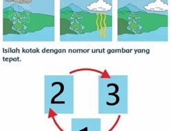 Susunlah Gambar Sehingga Menjadi Urutan yang Tepat Jawaban Tema 5 Kelas 3 SD Halaman 136