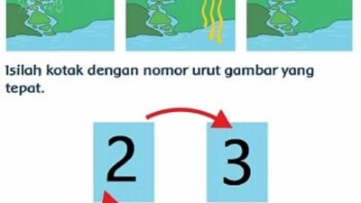 Susunlah Gambar Sehingga Menjadi Urutan yang Tepat Jawaban Tema 5 Kelas 3 SD Halaman 136
