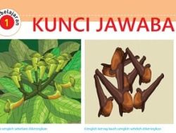 Informasi Penting Teks Peristiwa Kedatangan Bangsa Barat
