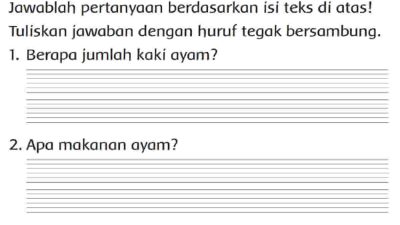 Berapa Jumlah Kaki Ayam Apa Makanan Ayam Jawaban Tema 6 Kelas 2 Halaman 47