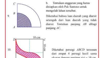 Diketahui bahwa luas daerah yang diarsir setengah dari luas daerah yang tidak diarsir Tentukan panjang AB dibagi panjang AC