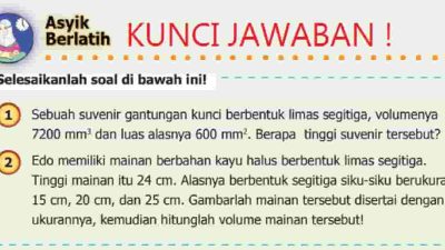 Edo memiliki mainan berbahan kayu halus berbentuk limas segitiga Tinggi mainan itu 24 cm, Alasnya berbentuk segitiga siku-siku