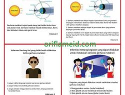 Informasi Tentang Pengertian Jenis-jenis dan Apa yang Tidak Boleh Dilakukan Ketika Gerhana Matahari