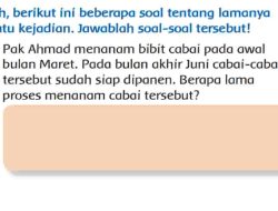 Pak Ahmad Menanam Bibit Cabai Pada Awal Bulan Maret Jawaban Tema 6 Kelas 3 Halaman 86