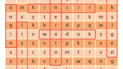 Perhatikan Huruf-Huruf Pada Kotak Berikut Temukan 8 Kata Tersembunyi Di Dalam Kotak Berikan Tanda Jika Sudah Menemukan