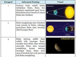 Teks Bacaan Diatas Terdiri Dari Tiga Paragraf yang Memiliki Gagasan Pokok yang Berbeda