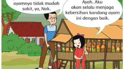 Tuliskan Pertanyaan dan Jawabanmu dengan Menggunakan Huruf Tegak Bersambung Halaman 52 Tema 6 Kelas 2 SD MI