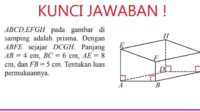 ABCD EFGH Pada Gambar di Samping Adalah Prisma Dengan ABFE Sejajar DCGH