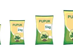 Ayo Bantu Ayah Siti Agar Mendapatkan Pupuk Sebanyak 20 kg Jawaban Tema 6 Kelas 2 Halaman 161